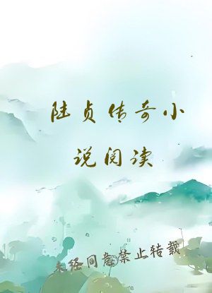 陆贞传奇小说阅读